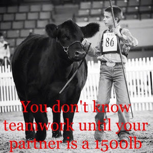 Meet your Posher, Jason